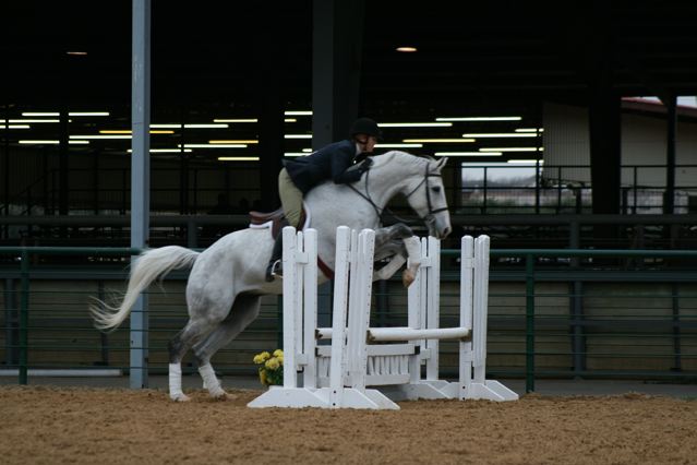 Logan First Jumping Show 2008