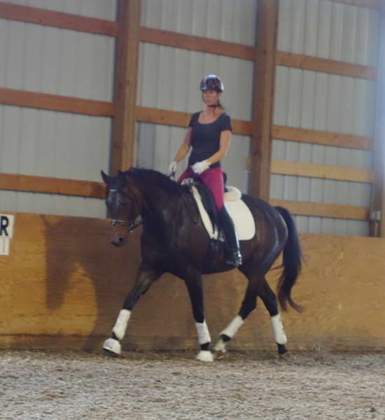 Rhosie ~ Todd Bryan Clinic June 2013