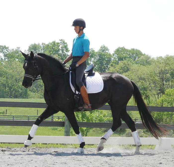 Julio's first ride on Willow May 2014