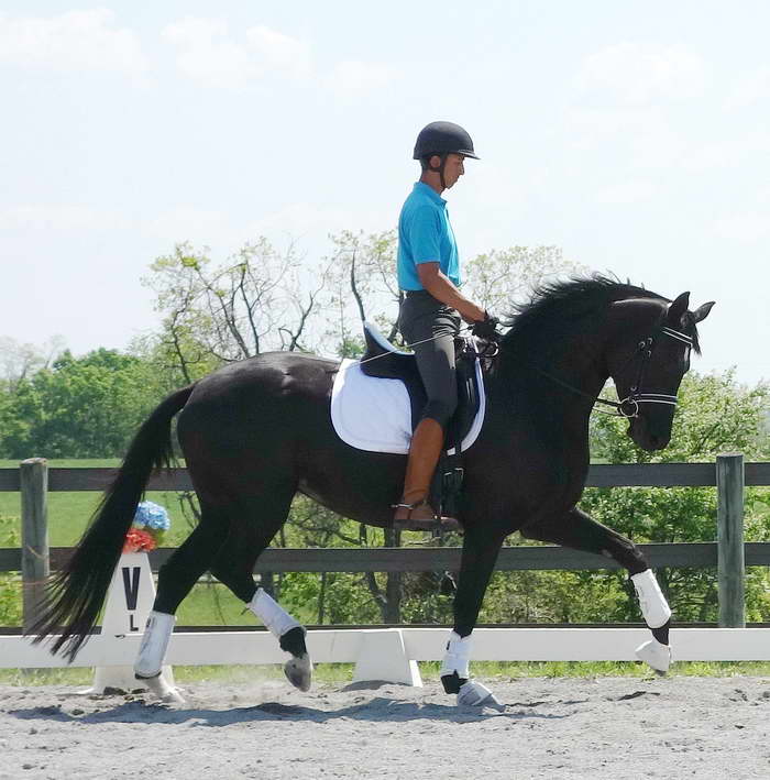 Julio's first ride on Willow May 2014