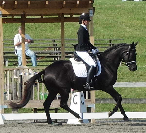 Willamina and Me June 2014 Morven Park Intl. Eq. Ctr.