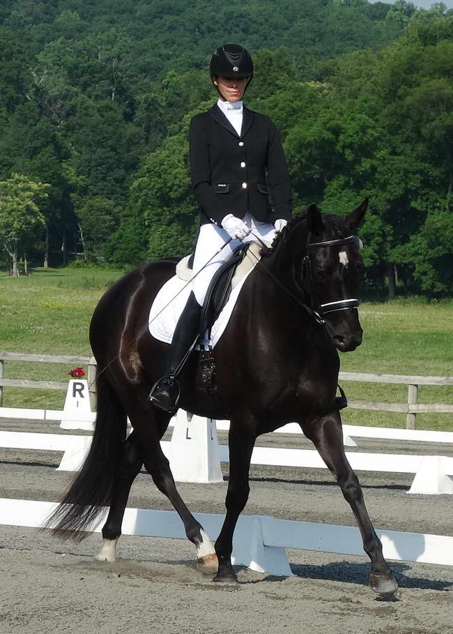 Willamina and Me June 2014 Morven Park Intl. Eq. Ctr.