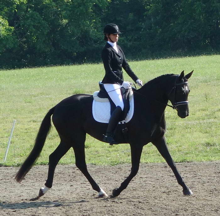 Willamina and Me June 2014 Morven Park Intl. Eq. Ctr.