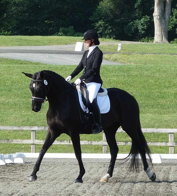 Willamina and Me June 2014 Morven Park Intl. Eq. Ctr.