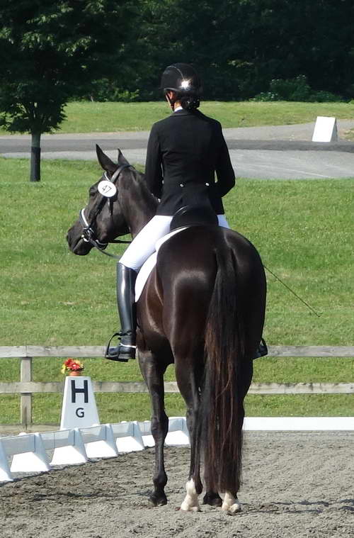 Willamina and Me June 2014 Morven Park Intl. Eq. Ctr.