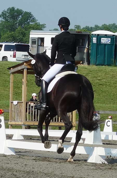 Willamina and Me June 2014 Morven Park Intl. Eq. Ctr.