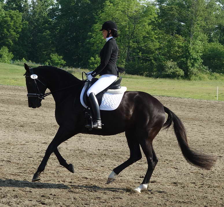 Willamina and Me June 2014 Morven Park Intl. Eq. Ctr.